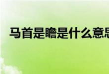 马首是瞻是什么意思（马首是瞻是啥意思）