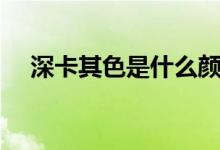 深卡其色是什么颜色（什么是深卡其色）