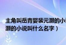 主角叫岳青婴裴元灏的小说叫什么书名（主角叫岳青婴裴元灏的小说叫什么名字）