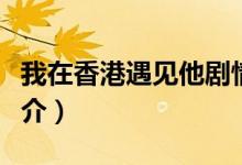 我在香港遇见他剧情介绍（我在香港遇见他简介）