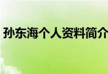 孙东海个人资料简介（孙东海的作品有哪些）