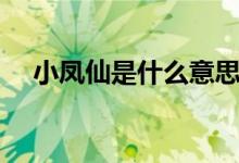 小凤仙是什么意思（小凤仙有什么含义）