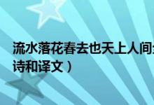 流水落花春去也天上人间全诗（流水落花春去也天上人间全诗和译文）