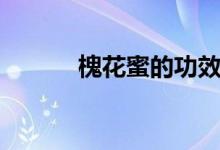 槐花蜜的功效(槐花蜜的作用)