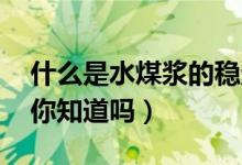 什么是水煤浆的稳定性(如何提高其稳定性 你知道吗)