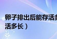 卵子排出后能存活多长时间（卵子排出后能存活多长）
