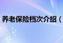 养老保险档次介绍（养老保险档次介绍精选）