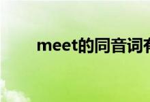 meet的同音词有哪些（meet词组）