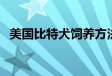 美国比特犬饲养方法（铲屎官都明白了吗）