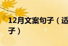12月文案句子（适合12月发朋友圈的文案句子）