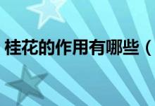 桂花的作用有哪些（关于桂花的作用有哪些）