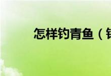 怎样钓青鱼（钓青鱼的方法介绍）