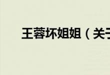 王蓉坏姐姐（关于王蓉坏姐姐的介绍）