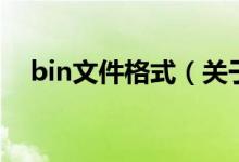 bin文件格式（关于bin文件格式的介绍）