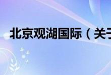 北京观湖国际（关于北京观湖国际的介绍）