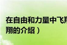 在自由和力量中飞翔（关于在自由和力量中飞翔的介绍）
