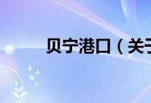 贝宁港口（关于贝宁港口的介绍）