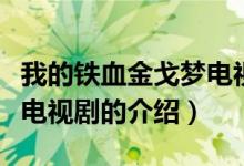 我的铁血金戈梦电视剧（关于我的铁血金戈梦电视剧的介绍）