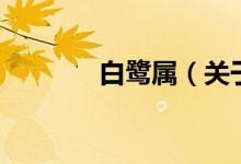 白鹭属（关于白鹭属的介绍）