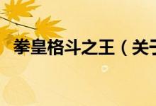 拳皇格斗之王（关于拳皇格斗之王的介绍）