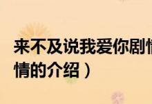 来不及说我爱你剧情（关于来不及说我爱你剧情的介绍）