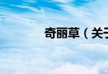 奇丽草（关于奇丽草的介绍）