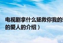 电视剧拿什么拯救你我的爱人（关于电视剧拿什么拯救你我的爱人的介绍）