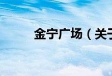 金宁广场（关于金宁广场的介绍）