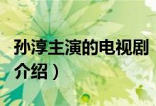孙淳主演的电视剧（关于孙淳主演的电视剧的介绍）