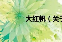 大红帆(关于大红帆的介绍)