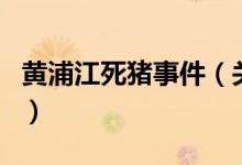 黄浦江死猪事件(关于黄浦江死猪事件的介绍)