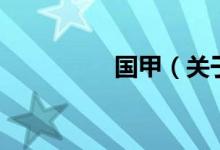 国甲（关于国甲的介绍）