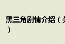 黑三角剧情介绍（关于黑三角剧情介绍的介绍）
