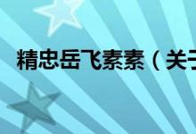 精忠岳飞素素（关于精忠岳飞素素的介绍）