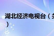 湖北经济电视台(关于湖北经济电视台的介绍)