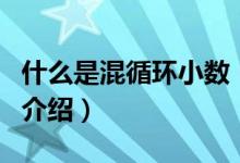 什么是混循环小数（关于什么是混循环小数的介绍）