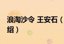 浪淘沙令 王安石(关于浪淘沙令 王安石的介绍)