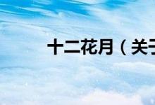 十二花月（关于十二花月的介绍）