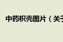 中药枳壳图片(关于中药枳壳图片的介绍)