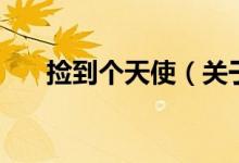 捡到个天使(关于捡到个天使的介绍)