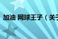 加油 网球王子(关于加油 网球王子的介绍)