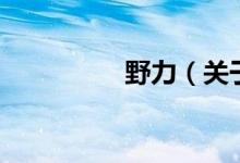 野力（关于野力的介绍）