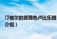 汀格尔的蔷薇色卢比乐园（关于汀格尔的蔷薇色卢比乐园的介绍）