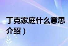 丁克家庭什么意思（关于丁克家庭什么意思的介绍）