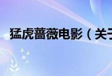 猛虎蔷薇电影（关于猛虎蔷薇电影的介绍）