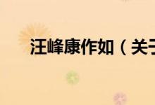汪峰康作如（关于汪峰康作如的介绍）