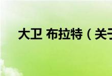 大卫 布拉特（关于大卫 布拉特的介绍）