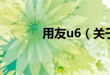 用友u6（关于用友u6的介绍）