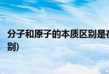 分子和原子的本质区别是在化学变化中(分子和原子的本质区别)