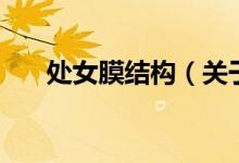 处女膜结构（关于处女膜结构的介绍）